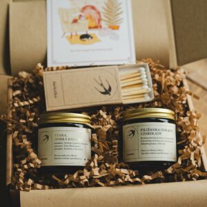 Jaskółka Zestaw Opowieść Wigilijna