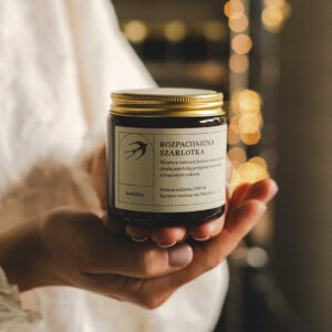 Jaskółka Świeca Sojowa Rozpachniona Szarlotka 120 ml